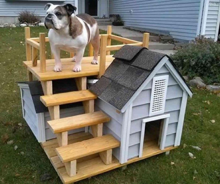 10+ Amazing Creative Dog Houses Lizizcon Page 4