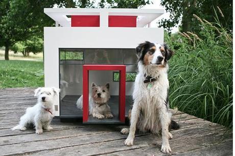 Small breed Doghouse
