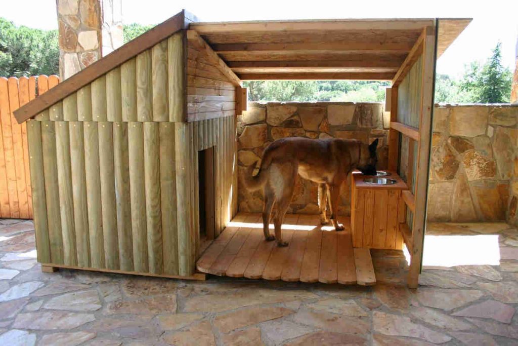 Outside wooden dog house