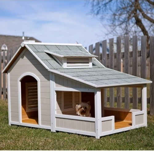 Dog Home With Veranda