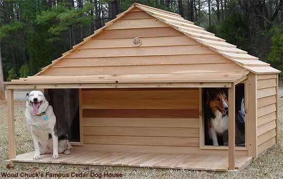 Large Duplex Dog House