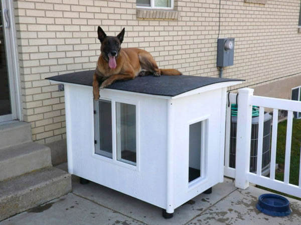 White Outdoor Dog House