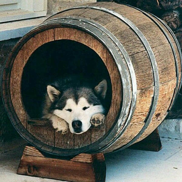 Wine barrel dog house