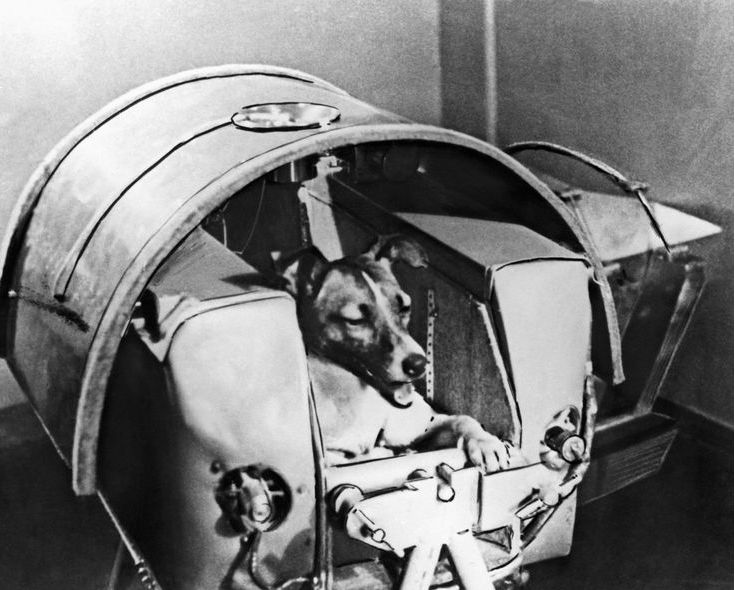 Laika spaceship being prepared