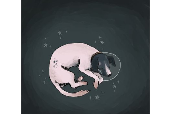 The space dog Laika 